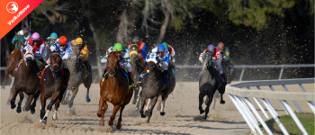 Kuinka lyödä vetoa kilparatsastuksessa Suomessa auttamaan toimintaa kasvamaan